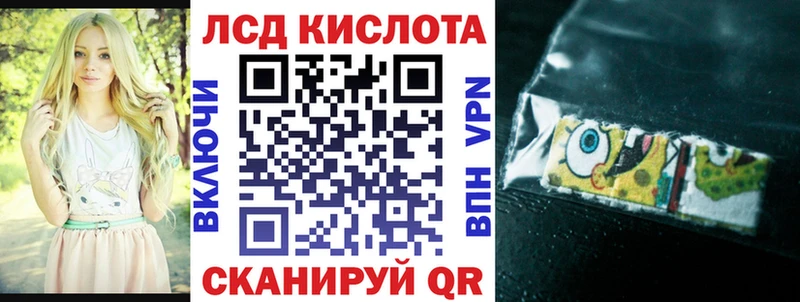 дарнет шоп  Сочи  Марки N-bome 1,8мг 
