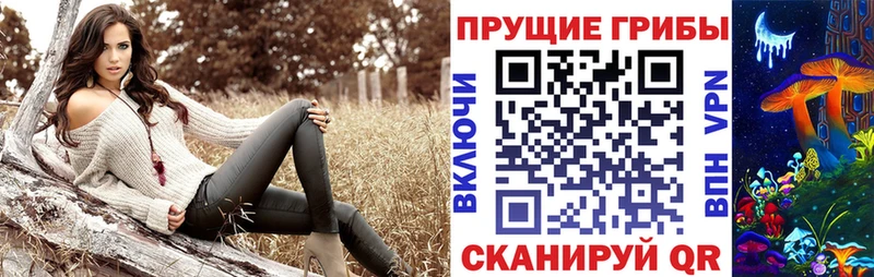 Галлюциногенные грибы прущие грибы даркнет сайт Сочи